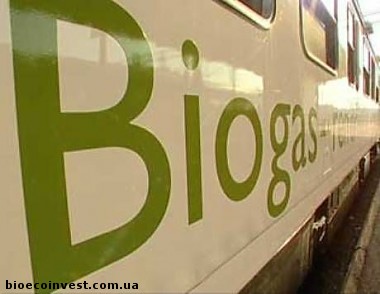78071