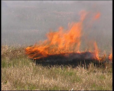 Article Летняя жара принесла пожары