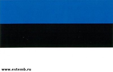 Article В Эстонии русскоязычные граждане будут пересдавать экзамены на знание госязыка