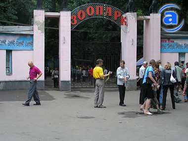 Article В воскресенье в Харьковском зоопарке пройдет День Тигра