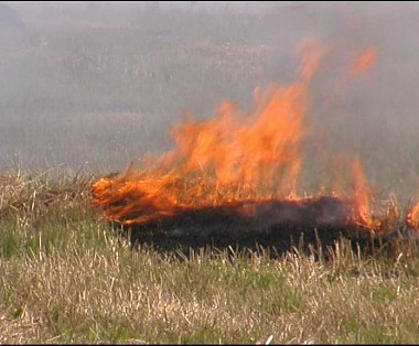 Article Из-за аварии в Валковском районе загорелась сухая трава