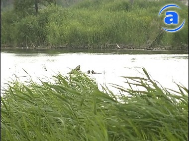 Article В Краснооскольском водохранилище утонул житель Донецкой области