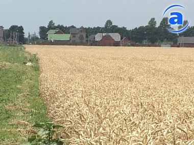 Зображення до:  В Харьковской области сгорело пшеничное поле