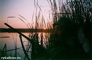Article Областной совет не ввел мораторий на охоту, но пообещал контроль в лесах области