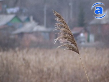 Article Госкомитет по земресурсам планирует заново заселять покинутые села