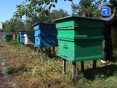 Article Гектары травы, лесополоса и пасека горели в Первомайском районе