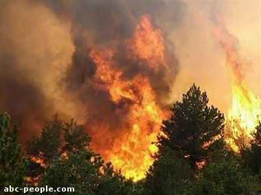 Article Больше сотни человек еще тушат пожар  в Изюмском лесу