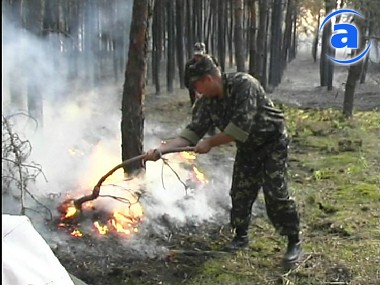 Article В изюмских лесах горит уже только 25 гектаров. Верхушки деревьев потушены