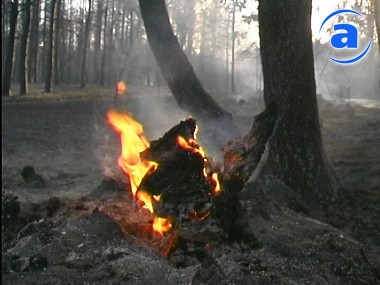 Зображення до:  Во время пожаров в Изюмском районе пострадало около полутора тысяч гектаров