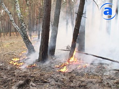 Зображення до:  Ущерб от огня в Изюмском районе областные власти оценили в 50 миллионов гривен