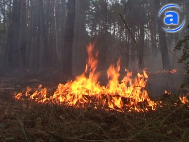 Article В Купянском районе горел лес