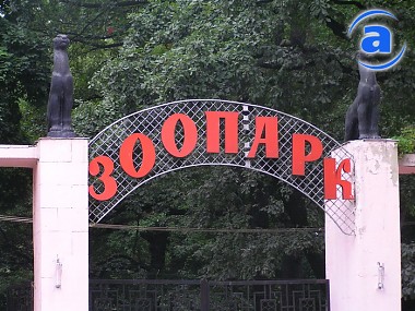 Article В зоопарке установят памятник обезьянам, пережившим оккупацию Харькова