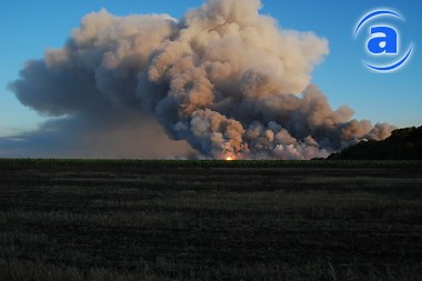 Article Ситуация в Лозовой под контролем Президента