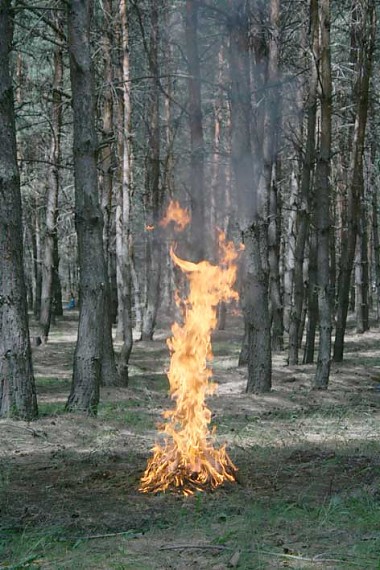 Article В Нововодолажском районе выгорело полтора гектара поля