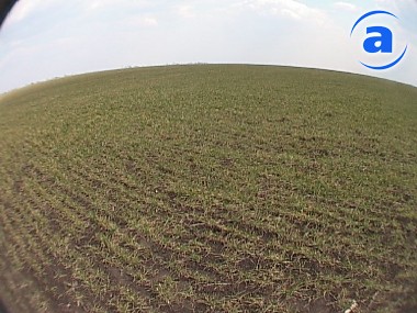 Article В Валковском районе сельхозпредприятие засеяло чужую землю