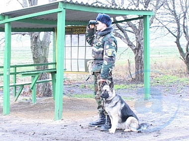 Зображення до:  В Харьковской области на границе задержали троих человек, которые подозреваются в ограблении