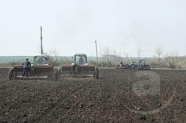 Зображення до:  В области посеяно уже более 100 тыс. га озимых культур