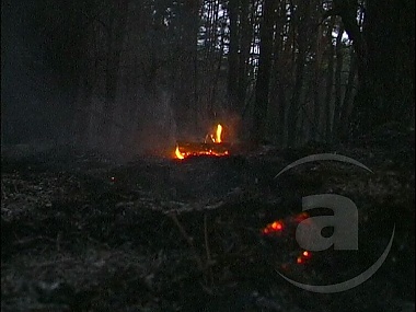 Зображення до:  В Харьковской области восемь раз за сутки горели леса