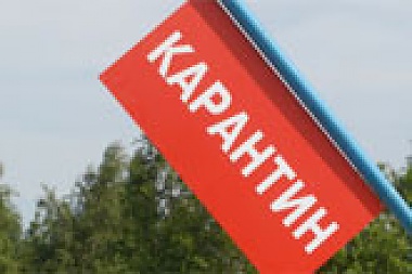 Зображення до:  Кабмин намерен ввести карантин по всей Украине