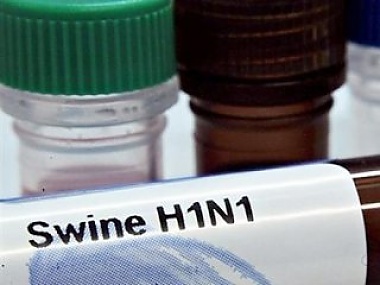 Зображення до:  ВОЗ: Завершена пандемия гриппа H1N1