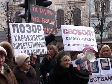 Зображення до:  Зоозащитники против собаколовов. Харьковскую мэрию пикетировали защитники бездомных животных