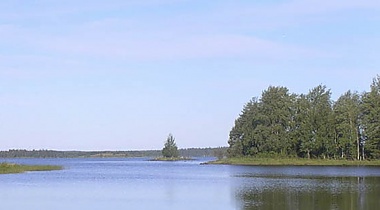 Зображення до:  Под Харьковом во время рыбалки на неизвестном взрывном устройстве подорвались три человека (дополнено, видео)