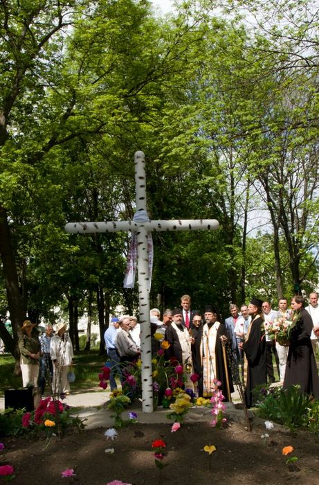 Зображення до:  Берёзовый крест вместо камня УПА