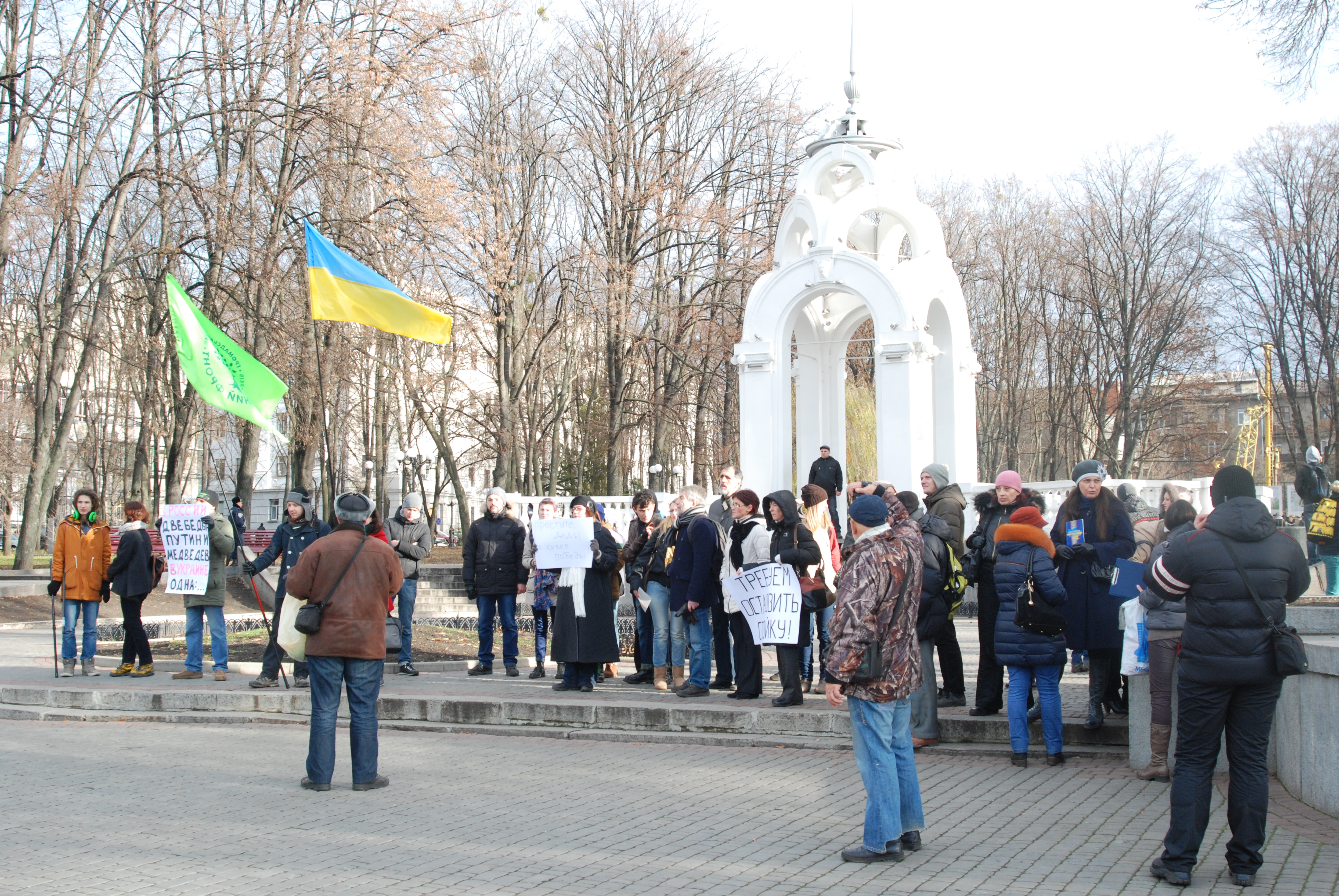 Зображення до:  У Зеркальной струи — снова протест