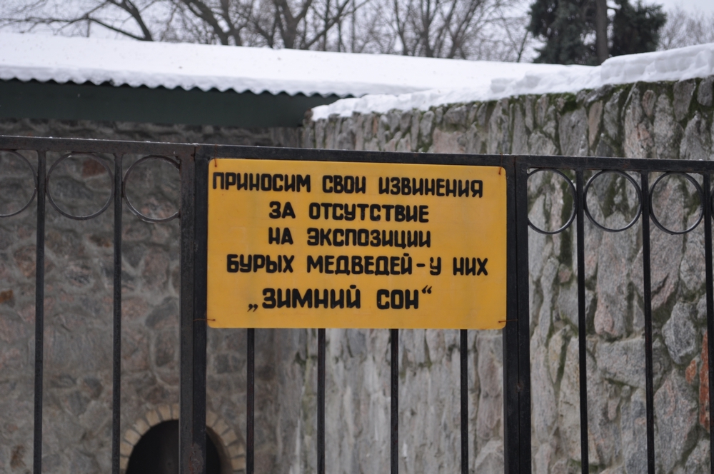 Зображення до:  Роды во сне. У медведей в Харьковском зоопарке — пополнение