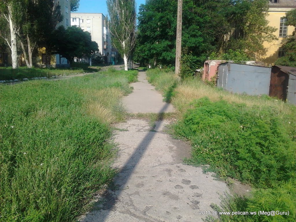 Зображення до:  Освобождение Николаевки. Подробности