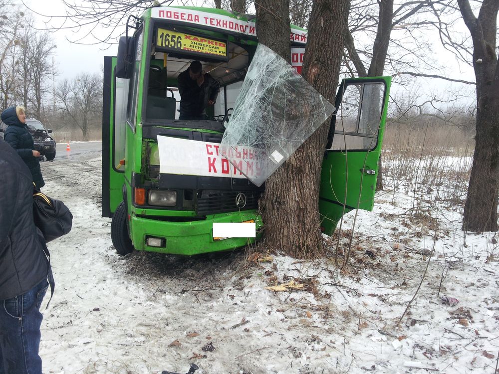 Зображення до:  Легковушка врезалась в автобус под Харьковом: восемь пострадавших