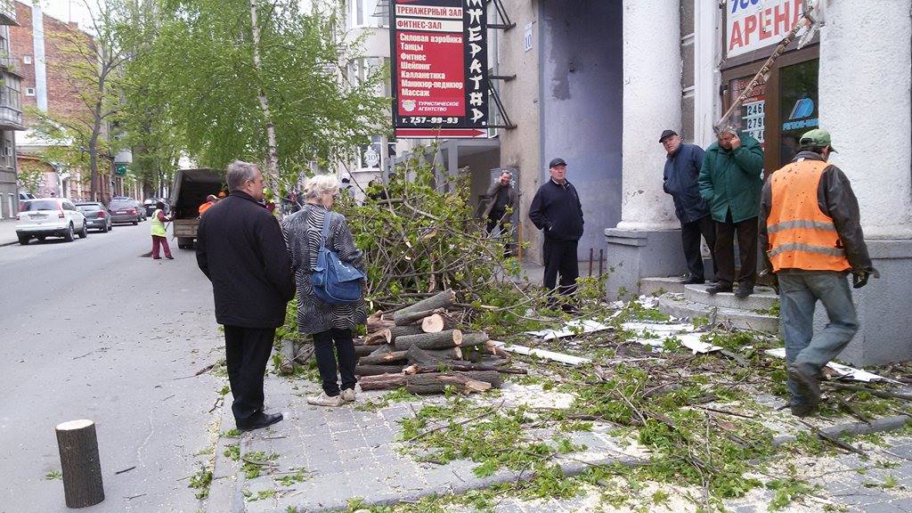 Зображення до:  В центре Харькова дерево упало на женщину