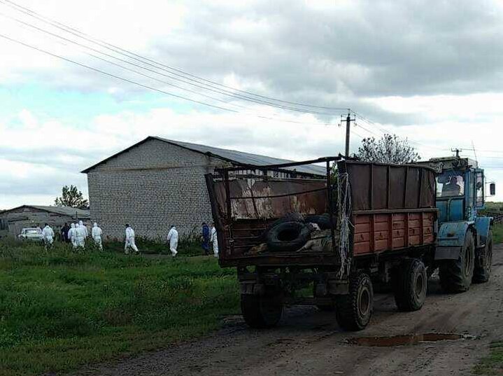 Зображення до:  В горсовете обозначили территорию карантина в Основянском районе