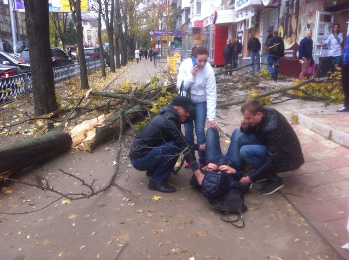 Зображення до:  В Харькове дерево упало на пешехода