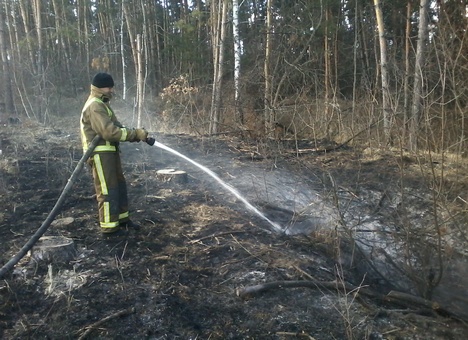 Зображення до:  Под Купянском горела городская свалка