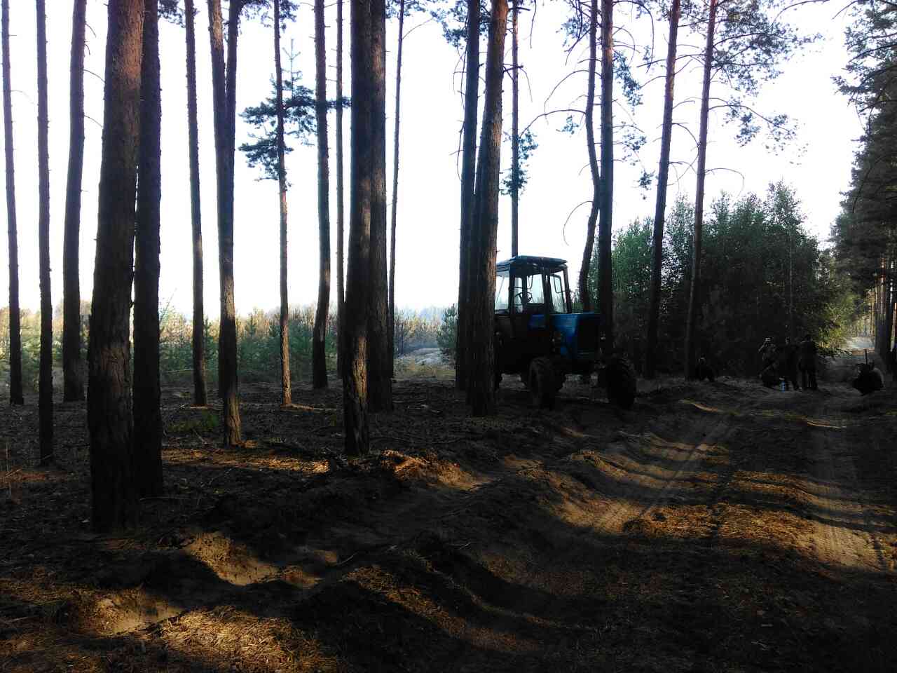 Зображення до:  На Салтовке горел сосновый бор