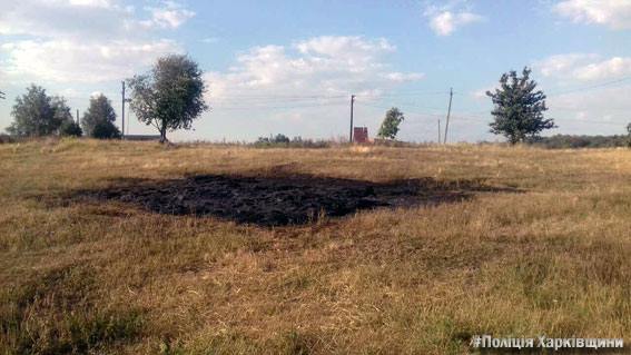 Зображення до:  Под Харьковом дети подожгли солому: погиб 6-летний мальчик