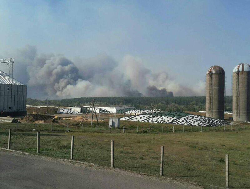 Зображення до:  Спасатели продолжают тушить лес в Красноградском районе