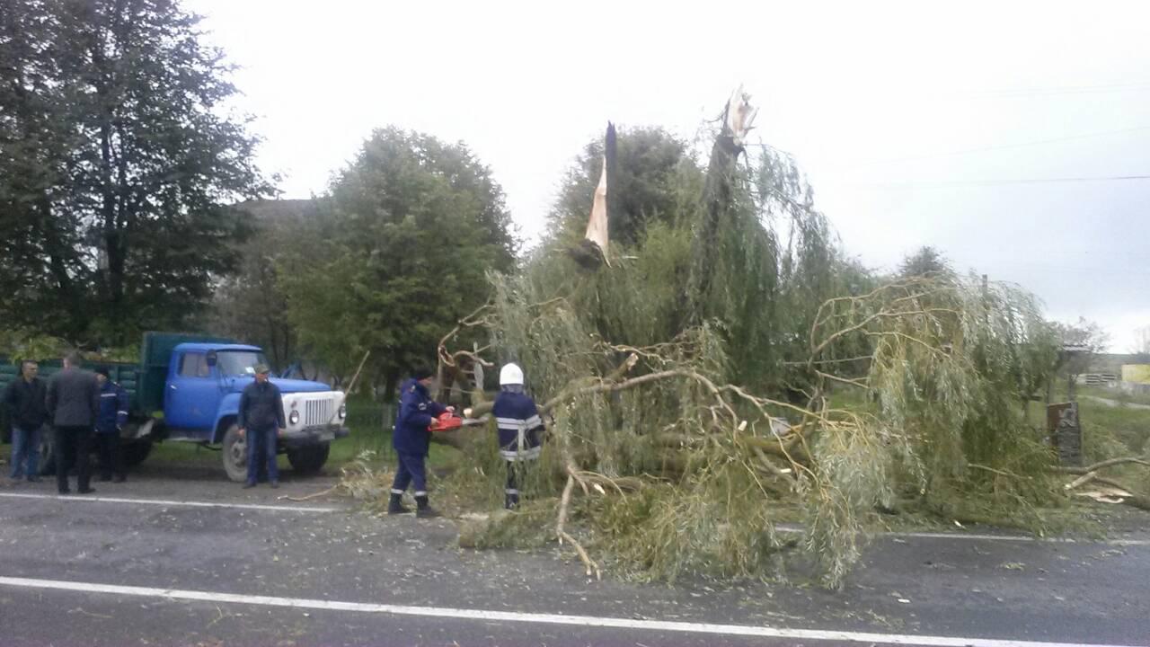 Зображення до:  В ГСЧС предупредили о сильных порывах ветра