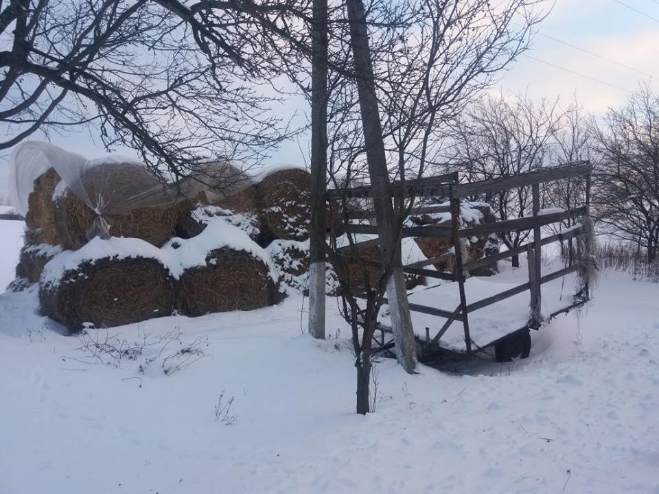 Зображення до:  В Харьковской области в стоге сена нашли младенца