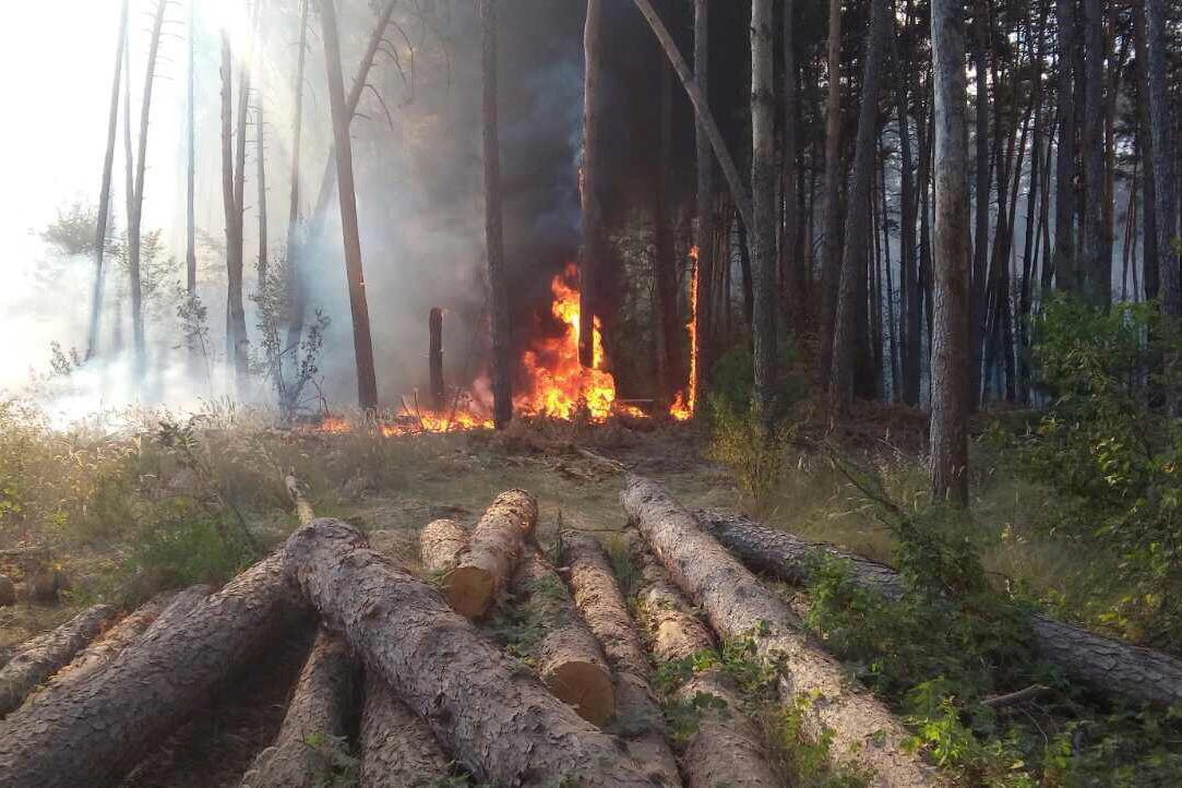 Зображення до:  Лесной пожар в Нововодолажском районе не угрожает сёлам — ГСЧС