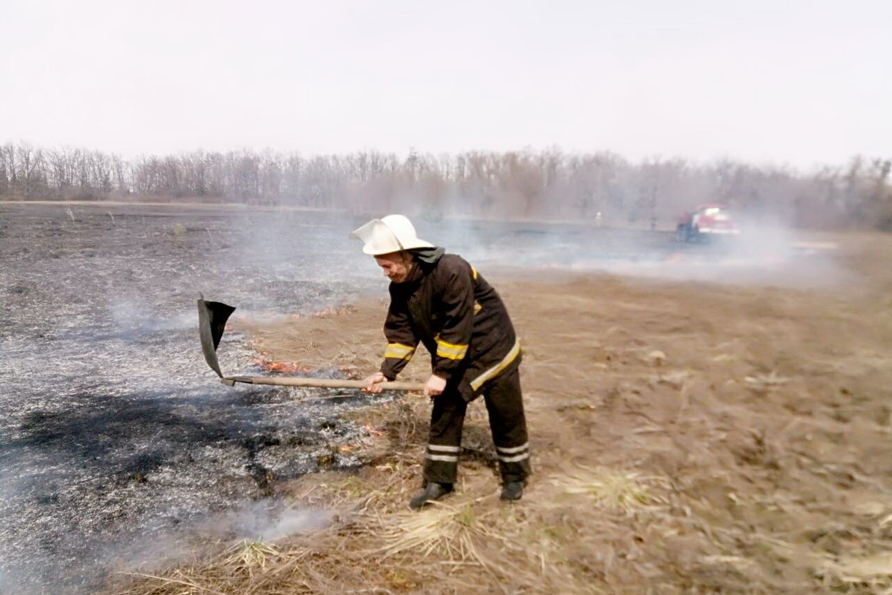 Зображення до:  Понад 60 пожеж за добу: ДСНС застерігає від випалювання сухостою