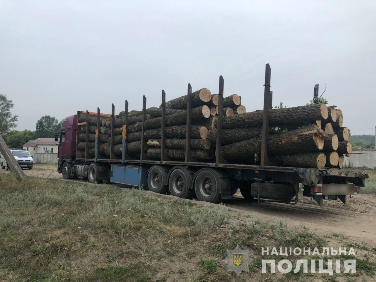 Зображення до:  Силовики зупинили шість вантажівок з дубом. З’ясовують походження