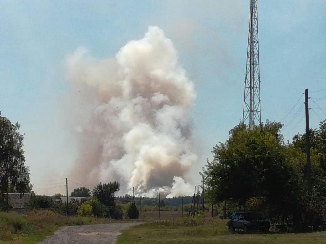 Зображення до:  У Вовчанському районі сталася пожежа в лісі