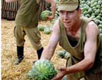 Article В 2005 году армия Украины может стать небоеспособной