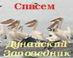 Зображення до:  В Харькове решается судьба уникального Дунайского биосферного заповедника