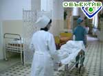 Article В Волчанском районе 10 человек отравились ядохимикатами   (обновлено)