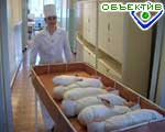 Article В Харьковской области с начала года умерло 80 младенцев
