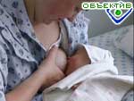 Article В Харьковской области посчитают всех женщин детородного возраста