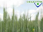 Article До 2010 года землю в Украине продавать нельзя